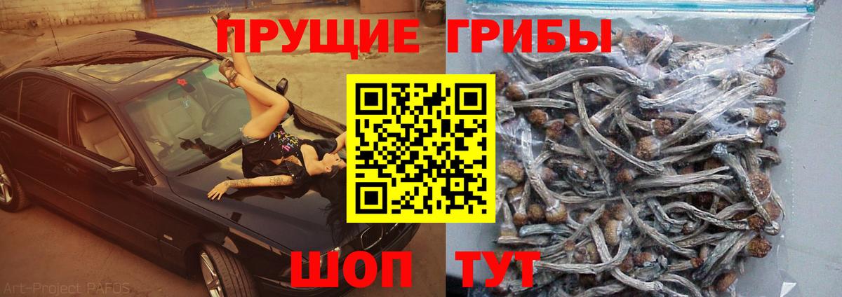 Шебекино  Псилоцибиновые грибы мицелий  Вход с VPN 