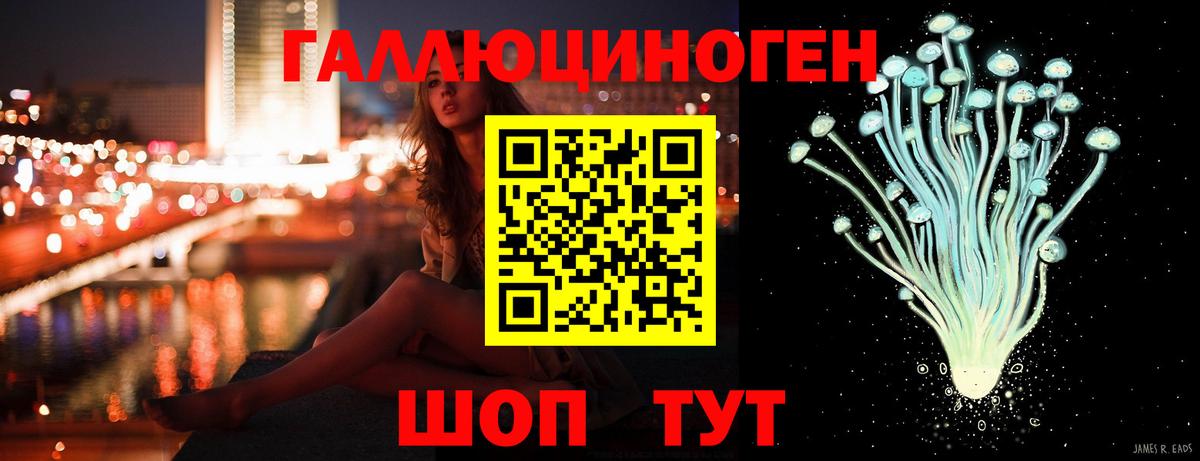 Псилоцибиновые грибы Psilocybine cubensis Шебекино